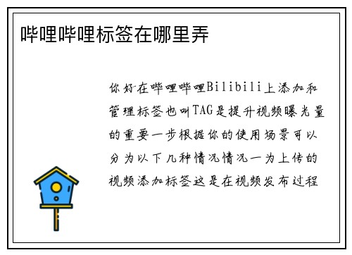 哔哩哔哩标签在哪里弄